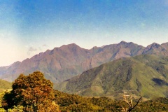 07-Vale
