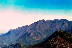 10-Vale
