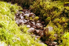 22-Cachoeira