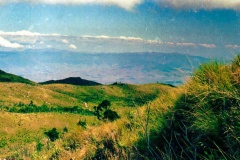24-Vale