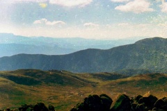 25-Vale
