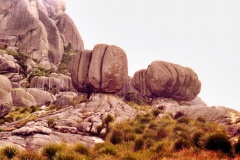 29-Prateleiras