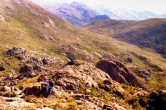 31-Vale