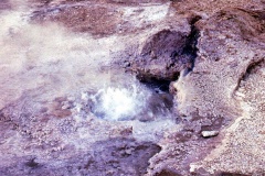 F3-26-Geisers