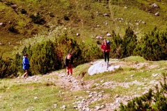 15-Trilha