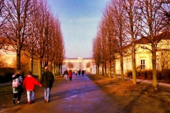 16-Sans-Souci