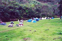 Sec-Parada-1