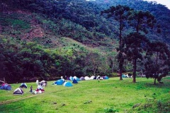 Sec-Parada-2