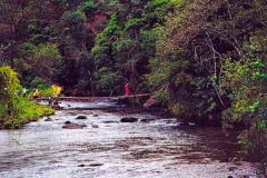 Sec-Parada-5