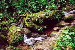 Trilha6