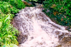 Água-Branca-4