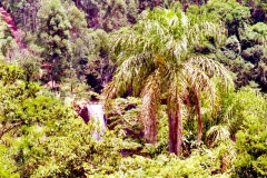 Água-Branca