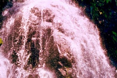 Coqueiros-1