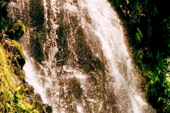 Coqueiros