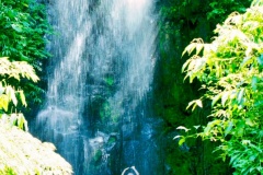 Macacos-2