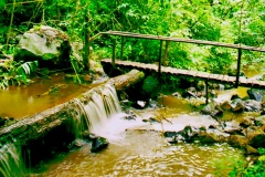 Ponte-Martelo