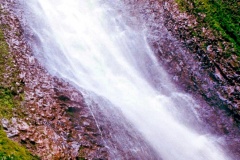 Primavera-3