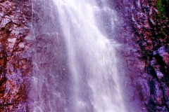 Primavera-4
