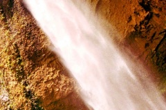 Saltão-Ferradura-2