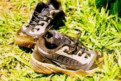 Tenis-Formiga