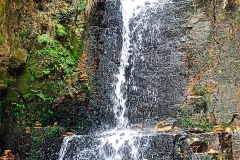 DSC_2454