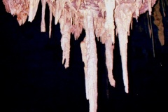 Lapa-Doce-Lustre