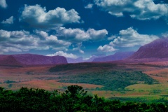 Morrão