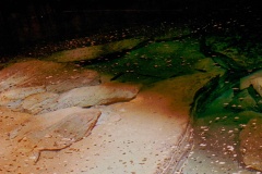 Pratinha-Gruta