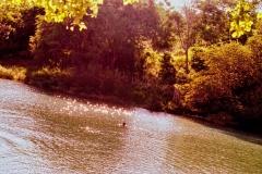 Pratinha-Lago-1-2
