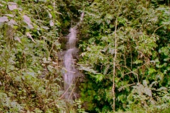 Trilha-Vale-1