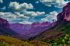 Vale-Pati-Alto