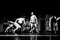 Palco-15