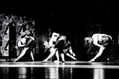 Palco-4