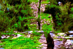 Tipón-Aqueduto-1