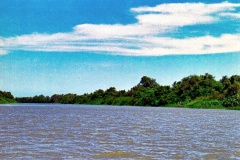 Braço-do-Delta