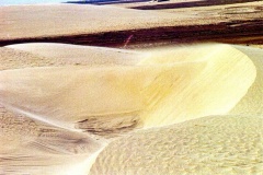 Dunas-Delta-6