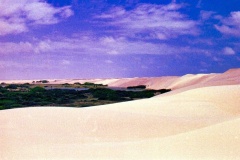 Dunas
