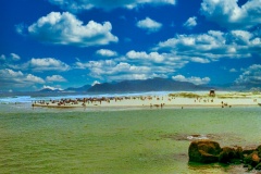 Canal-2