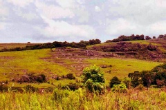 02-Planalto