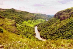 04-Canion-IAPO