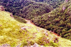 11-Iapó