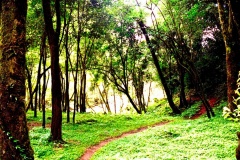 33-Cach-Centro-Trilha