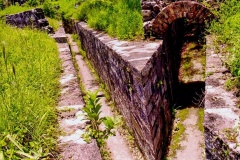 Forte-3