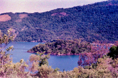 13-Ilhota