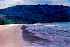 20-Gaivotas