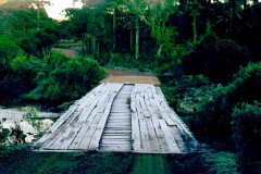 19-Ponte-Gelada