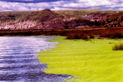 34-Puno-Vista-Lago