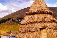 36-Uros-Casa
