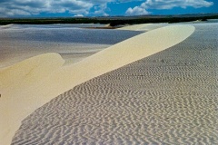Dunas-5