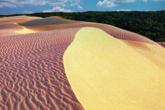 Dunas-Atins-1